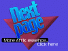 next page
